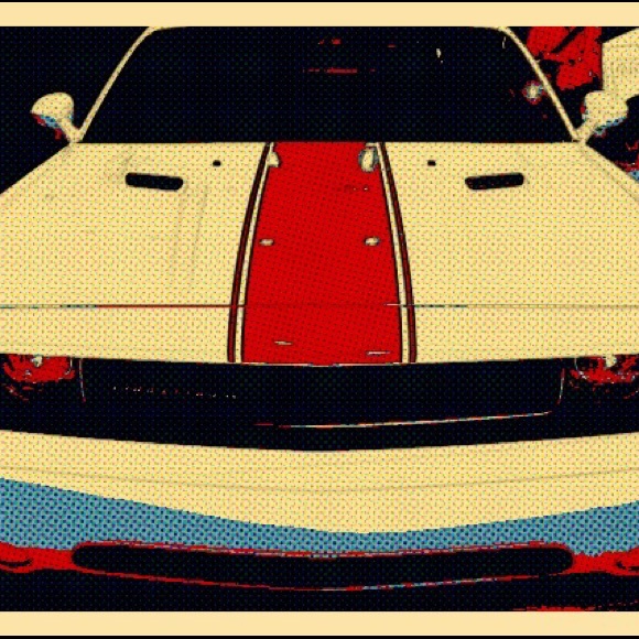 Meet your Posher, Xander - Picture 5 of 6